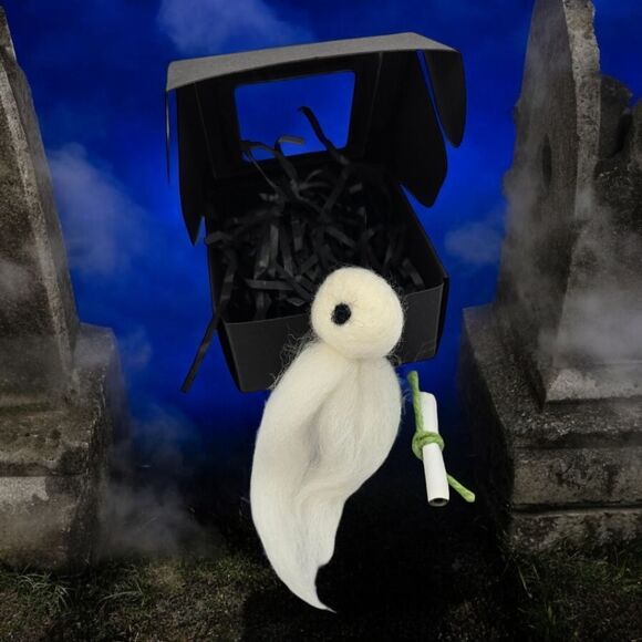 Adopt a Ghost Gift Box Novelty Spooky Halloween Gothic Fun Unique BFF Present - Picture 1 of 8